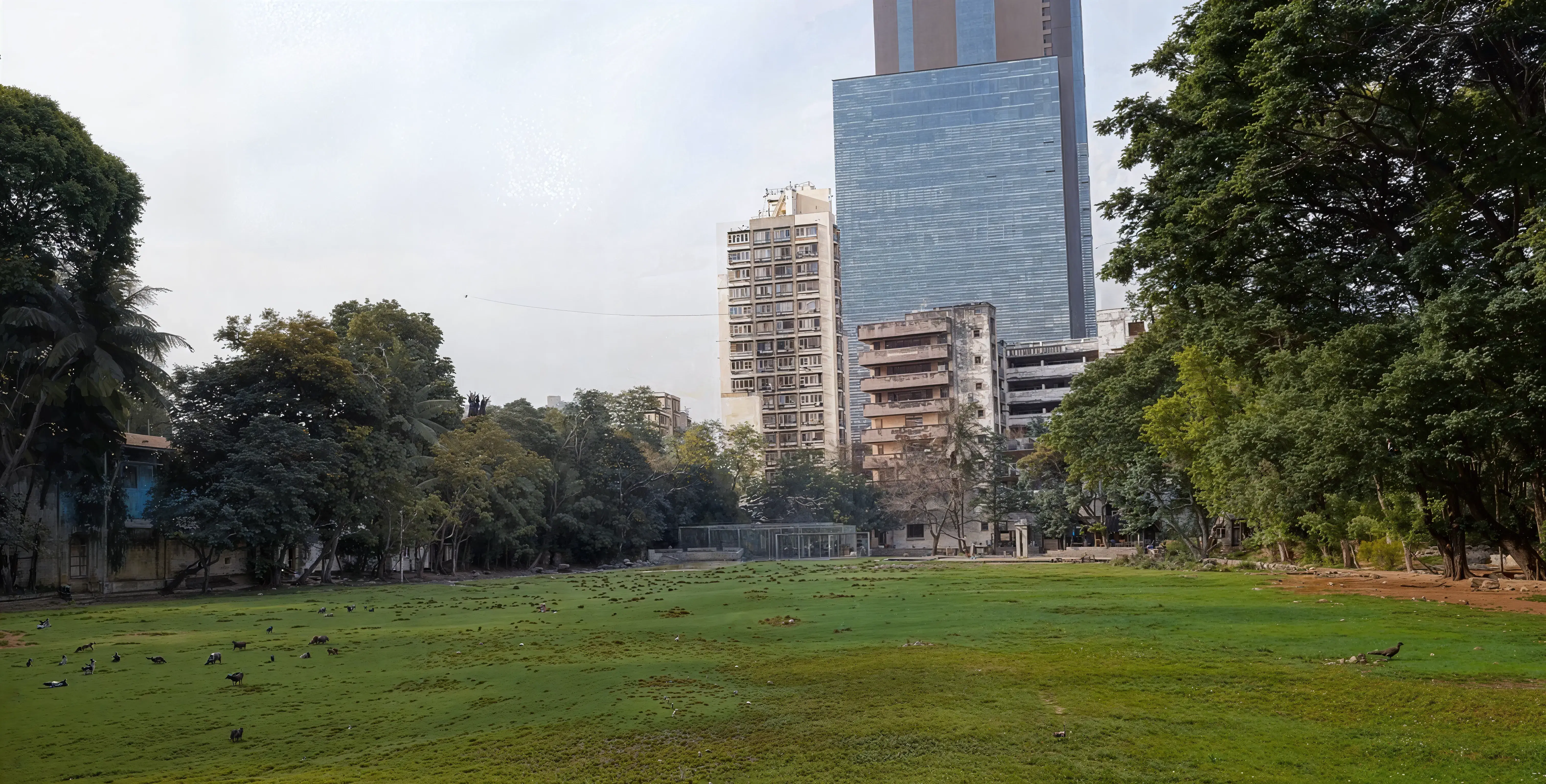 D.G. Ruparel College of Arts Science and Commerce Mumbai Facility photo 1